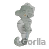 Hrkajúci morský koník ocean mint