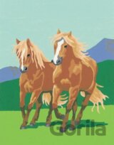 Dva kone