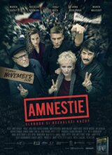 Amnestie (Film - DVD)