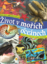 Život v mořích a oceánech