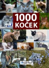 1000 koček