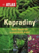 Kapradiny
