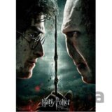 Puzzle Harry Potter - Harry vs Voldemort