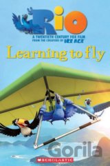 RIO: Learning to Fly