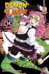 Demon Slayer: Kimetsu no Yaiba (Volume 14)