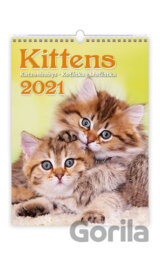 Kittens/Katzenbabys/Koťátka/Mačičky