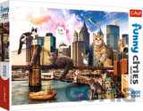 Crazy City -  Cats in New York