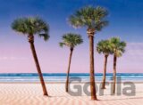 Tropic