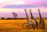 Národný park Amboseli, Keňa