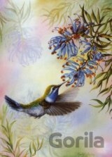 Humming Bird