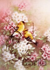 Yellow Birds