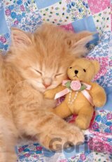 Kitty & the Bear