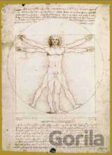 Leonardo, Proporcie