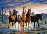 Horses in Desert