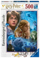 Harry Potter v Bradavicích
