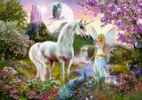 Fairy and unicorn