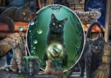 Magical cats