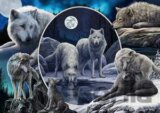 Magnificent wolves