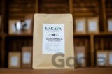Guatemala Antigue Camaleon