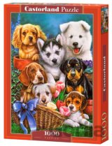 Puppies