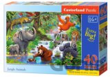 Jungle Animals