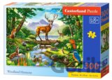 Woodland Harmony