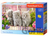 Three Grey Kittens