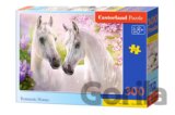 Romantic Horses