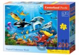 Tropical Underwater World