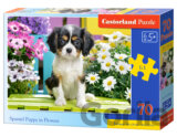 Spaniel Puppy in Flowers