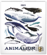Nástěnný kalendář Animalium 2021