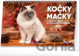 Stolní kalendář Kočky - Mačky 2021