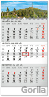 Nástěnný 3-měsíční kalendář Krajina (šedý) 2021