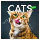 Poznámkový kalendář Cats (Kočky) 2021