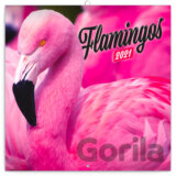 Poznámkový kalendáŕ Flamingos 2021 (plameňáci)