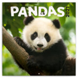 Poznámkový kalendář Pandas 2021