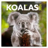 Poznámkový kalendář Koalas 2021