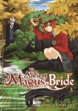 The Ancient Magus' Bride 3