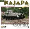 Kajapa in Detail