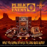 Public Enemy: What You Gonna Do When The Grid Goes Down