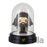 Lampička Harry Potter Hagrid Bell Jar