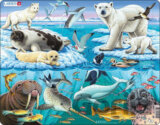 Puzzle MAXI - Zvířátka v Arktidě/75 dílků