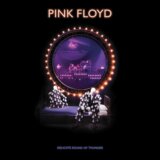 Pink Floyd: Delicate Sound Of Thunder LP Reedice 2020