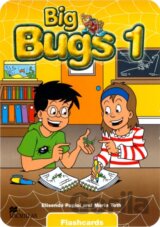 Big Bugs 1 - Flashcards