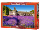 Lavender Field in Provence, France