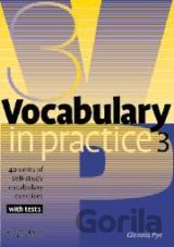 Vocabulary in Practice 3 - Pre-Intermediate