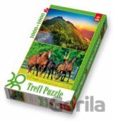 A Sunset in the Tatra Range / A Heard of Horses - 2 v 1