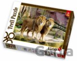 Lions