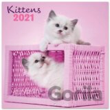 Kalendár 2021 16 mesiacov: Mačky