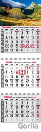 Klasik 3-mesačný sivý nástenný kalendár 2021 s motívom hôr